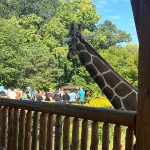 Meet your Posher, Binita